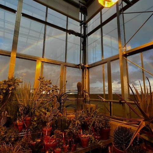 a rainbow seen through the glass of the arid house located in the Barbara Kindschi Greenhouse, GVSU